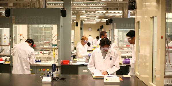 Researchers working in the lab
