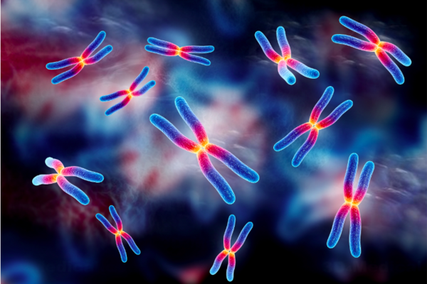 Chromosomes graphic