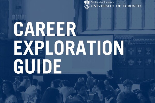 career exploration title