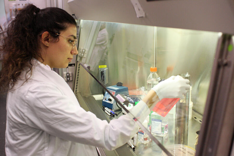 girl looking at lab work 