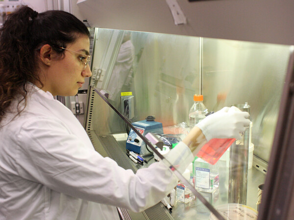 girl looking at lab work 