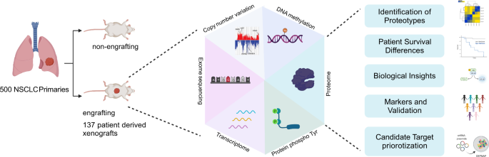 proteotype