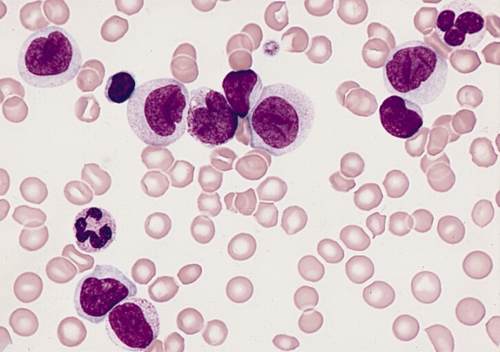 cells