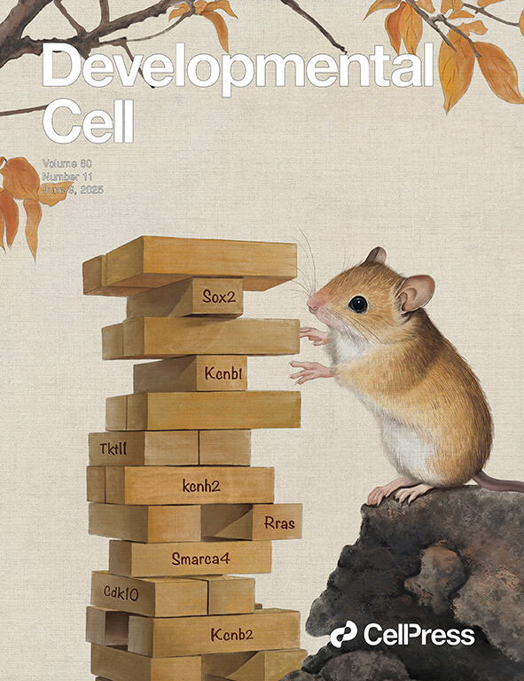 Cover art with a mouse playing jenga
