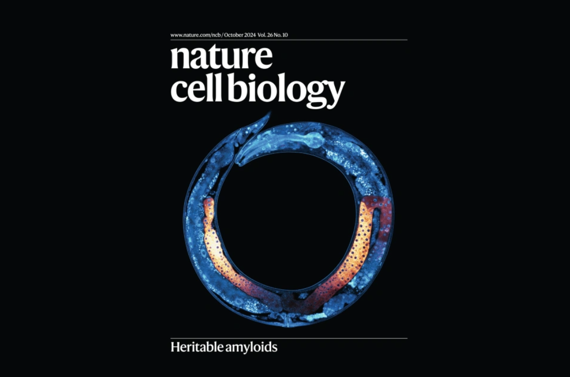 a cover with a worm in a florescent light