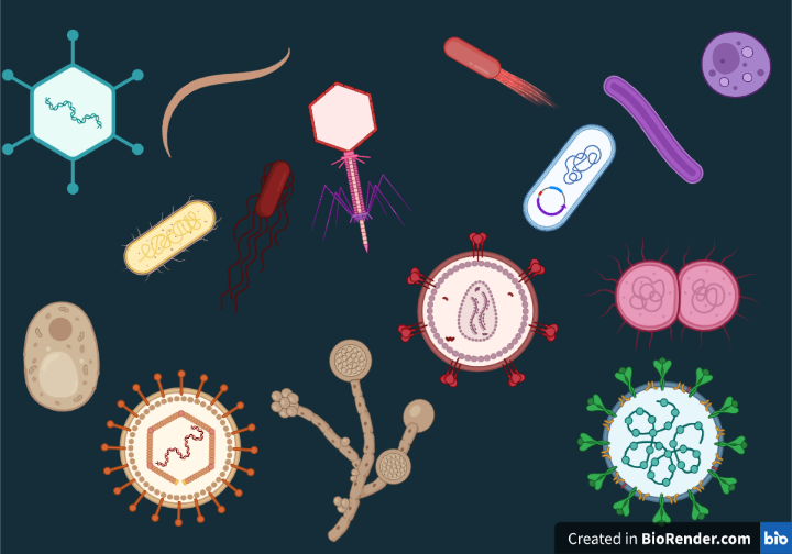 microbiology