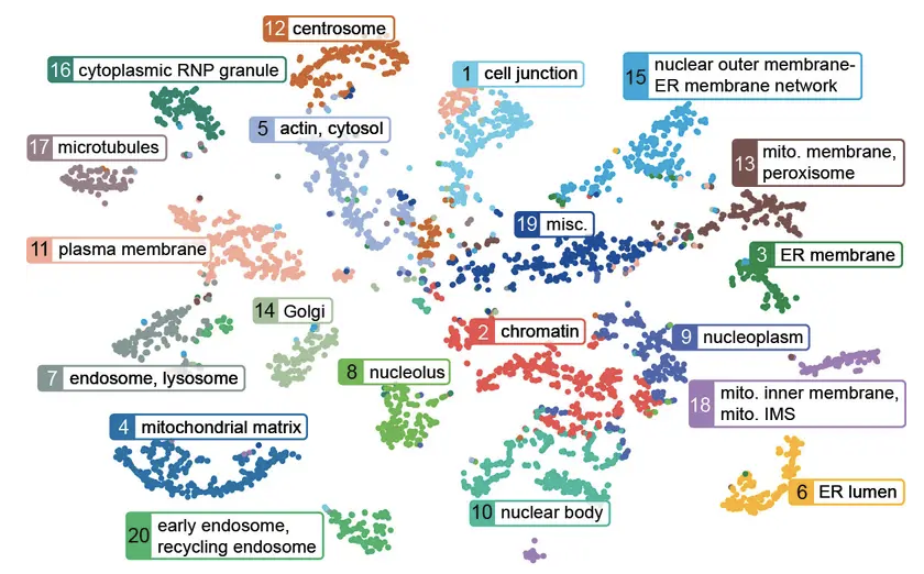 cell map