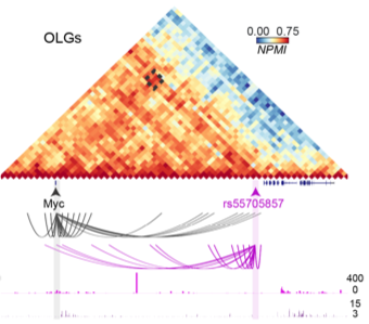 graphical data representation from the paper